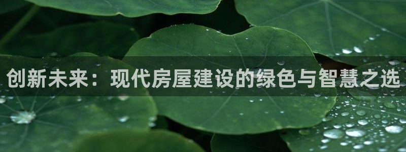 安信12是做什么：创新未来：现代房屋建设的绿色与智慧之选