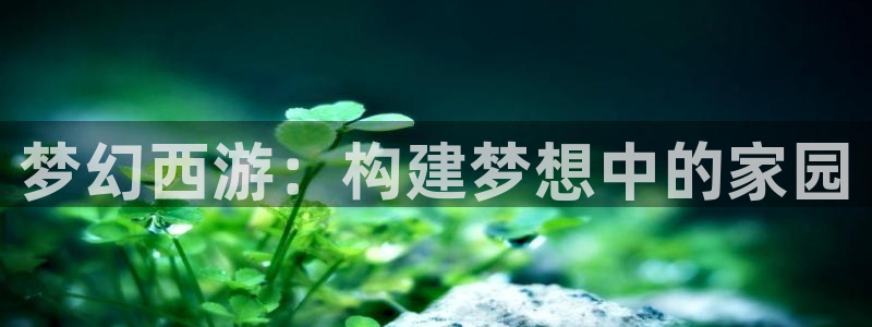 安信12是什么软件：梦幻西游：构建梦想中的家园