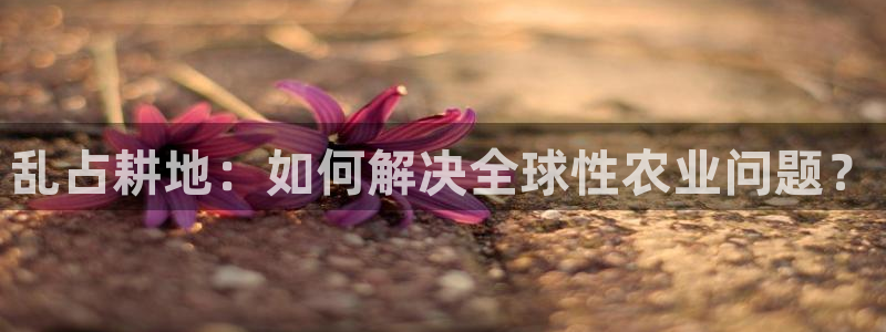 安信12平台：乱占耕地：如何解决全球性农业问题？