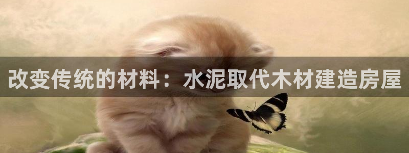 安信12级粉丝团福利：改变传统的材料：水泥取代木材建造房屋