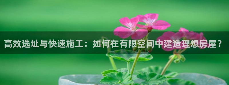 安信12想开户：高效选址与快速施工：如何在有限空间中建造理想房屋？