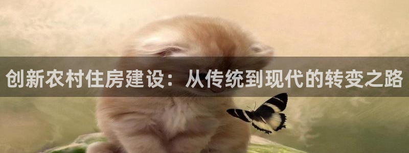 安信4娱乐去55 12：创新农村住房建设：从传统到现代的转变之路