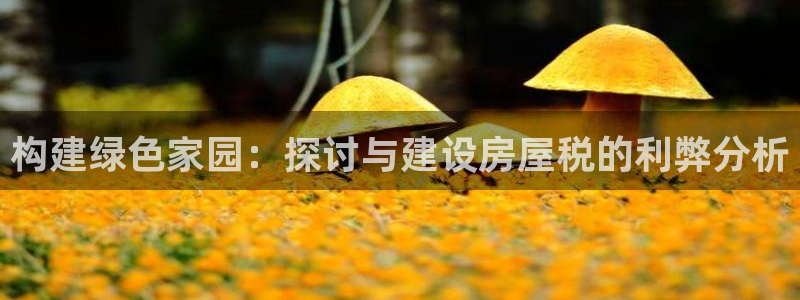 安信锐赢134号12月：构建绿色家园：探讨与建设房屋税的利弊分析
