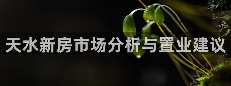 安信12平台下载：天水新房市场分析与置业建议