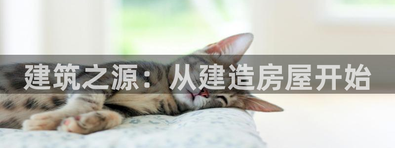 安信cw12系列：建筑之源：从建造房屋开始