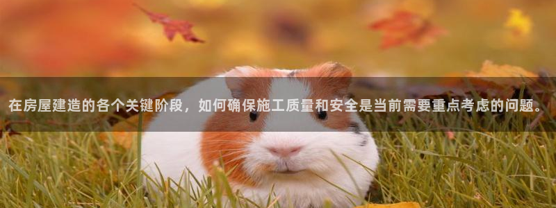 信安杯12：在房屋建造的各个关键阶段，如何确保施工质量和安全是当前需要重点考虑的问题。