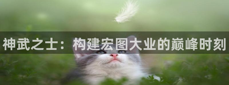 奇安信12流转场：神武之士：构建宏图大业的巅峰时刻