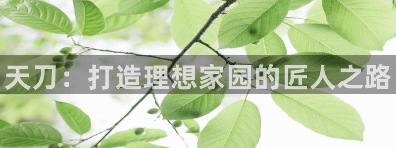 安信12平台介绍：天刀：打造理想家园的匠人之路