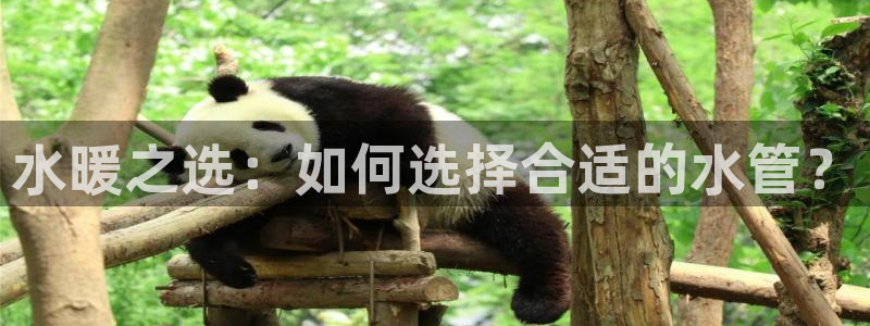 安信12是什么：水暖之选：如何选择合适的水管？