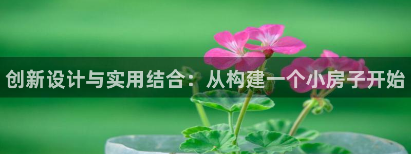 安信122853179Z空间：创新设计与实用结合：从构建一个小房子开始