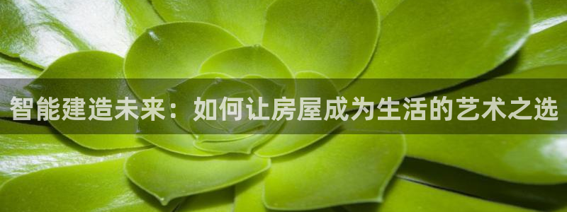 安信 12：智能建造未来：如何让房屋成为生活的艺术之选