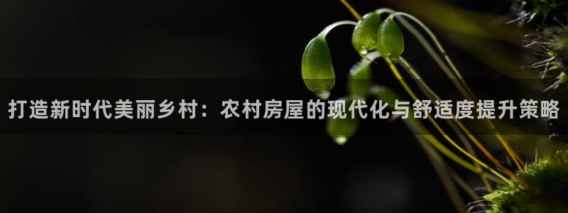 安信12是做什么