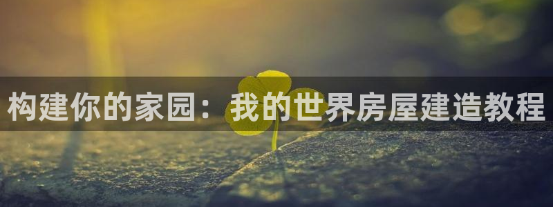 安信安翼 12账号：构建你的家园：我的世界房屋建造教程