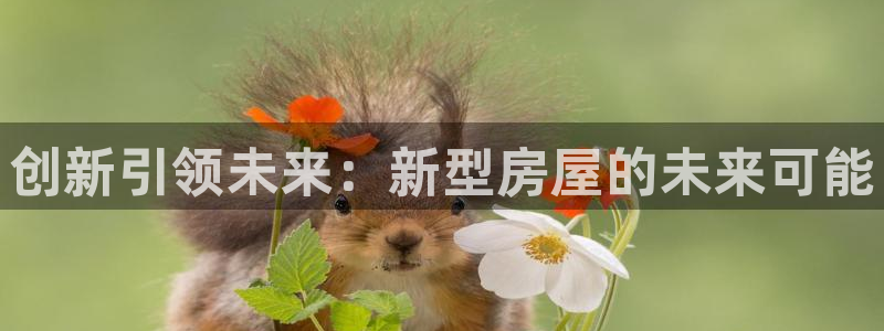 下载安信12：创新引领未来：新型房屋的未来可能