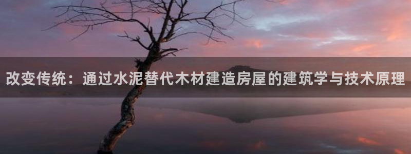 安信12平台开户：改变传统：通过水泥替代木材建造房屋的建筑学与技术原理