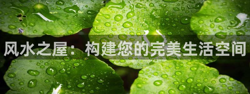 安信 12：风水之屋：构建您的完美生活空间