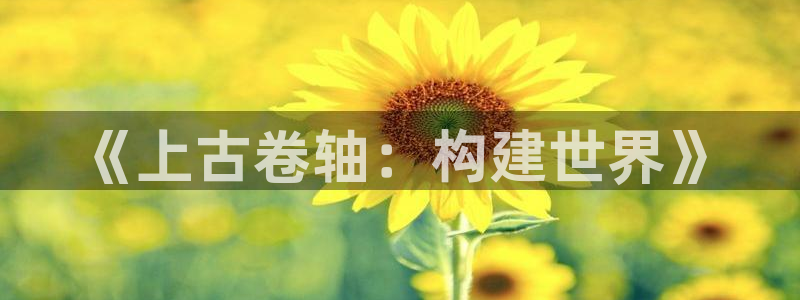 安信安翼 12账号：《上古卷轴：构建世界》