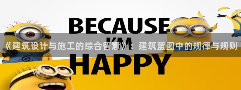 安信可12f：《建筑设计与施工的综合智慧》：建筑蓝图中的规律与规则
