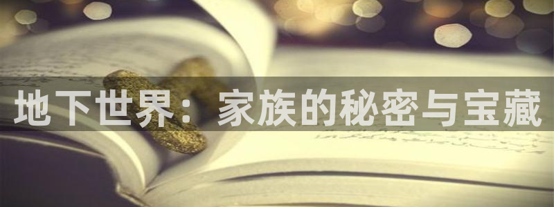 安立信T12测评：地下世界：家族的秘密与宝藏