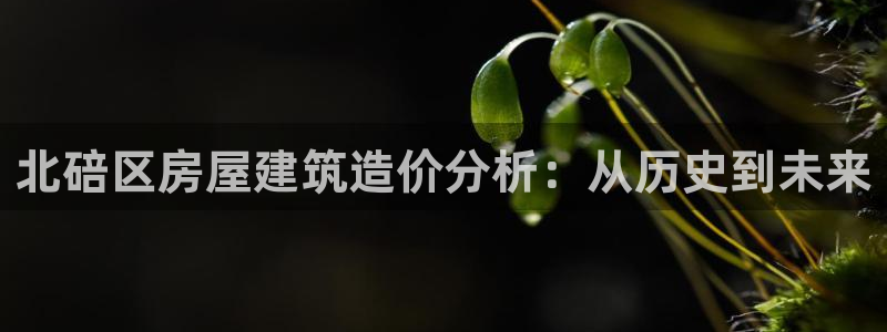 安信娱乐12登录地址：北碚区房屋建筑造价分析：从历史到未来