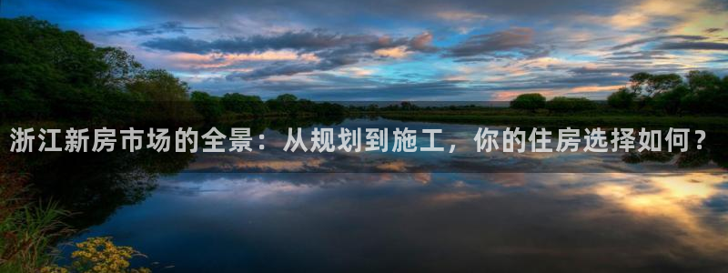 安信12级粉丝团福利：浙江新房市场的全景：从规划到施工，你的住房选择如何？