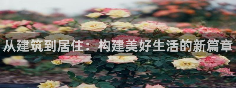 安信12娱乐7o777还：从建筑到居住：构建美好生活的新篇章