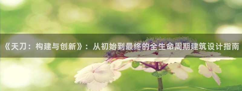 安信12包赔：《天刀：构建与创新》：从初始到最终的全生命周期建筑设计指南