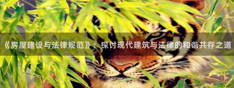 安信12级大众：《房屋建设与法律规范》：探讨现代建筑与法律的和谐共存之道
