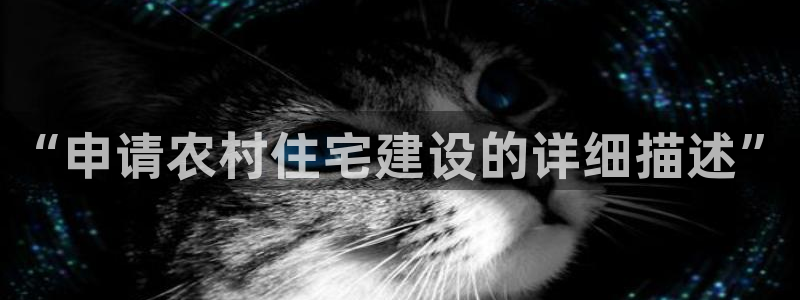 安信12账号：“申请农村住宅建设的详细描述”