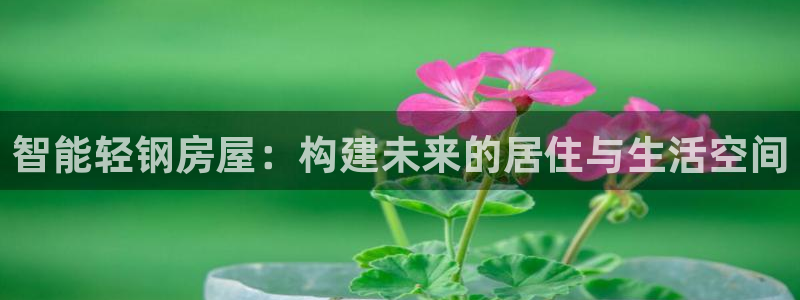 安信可12e12f