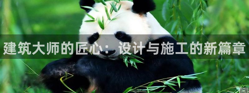 安信12想开户：建筑大师的匠心：设计与施工的新篇章