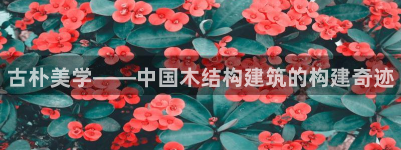 安信12周年庆：古朴美学——中国木结构建筑的构建奇迹