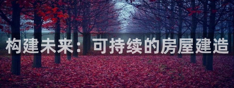 奇安信12流转场：构建未来：可持续的房屋建造