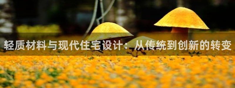 下载安信12：轻质材料与现代住宅设计：从传统到创新的转变