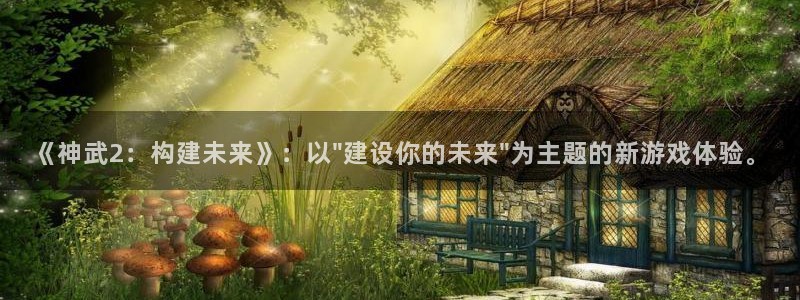 安信地板12mm：《神武2：构建未来》：以\