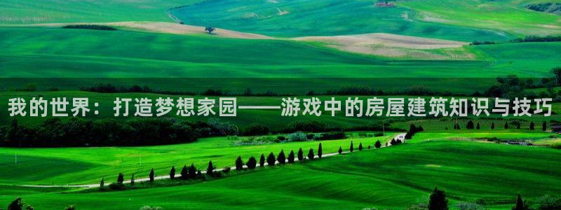 安信地板12mm：我的世界：打造梦想家园——游戏中的房屋建筑知识与技巧