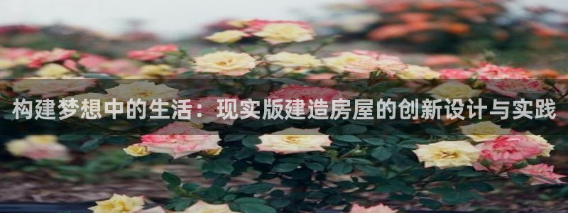 安信12平台的网址：构建梦想中的生活：现实版建造房屋的创新设计与实践