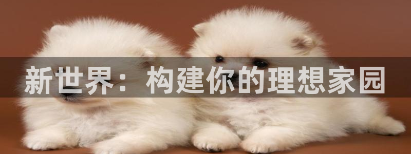 安信12想开户：新世界：构建你的理想家园