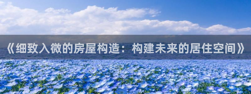 安信12官方下载：《细致入微的房屋构造：构建未来的居住空间》