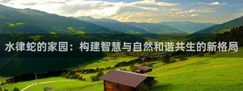 安信312 12：水律蛇的家园：构建智慧与自然和谐共生的新格局