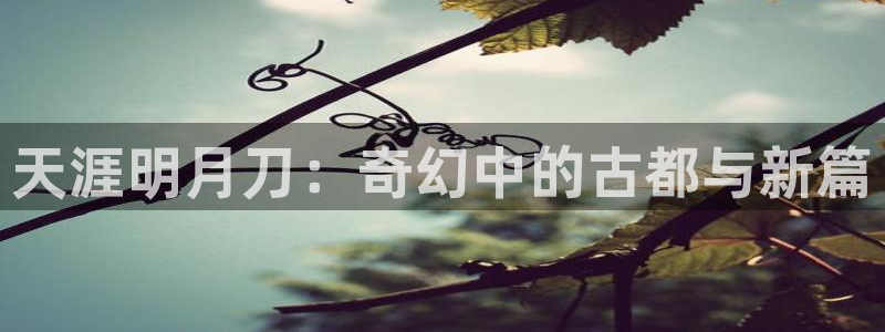 安信可f12：天涯明月刀：奇幻中的古都与新篇