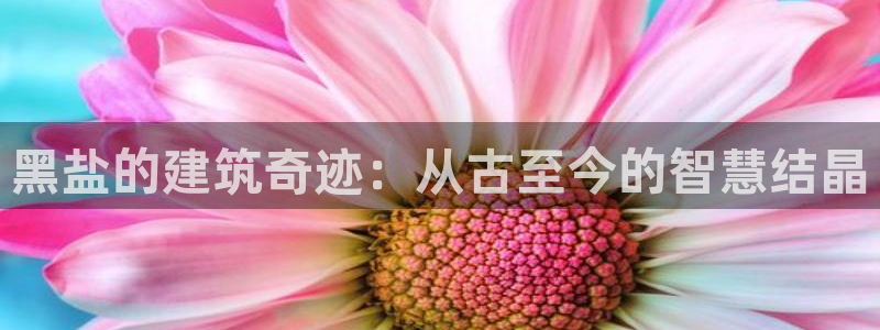 安信12登录：黑盐的建筑奇迹：从古至今的智慧结晶