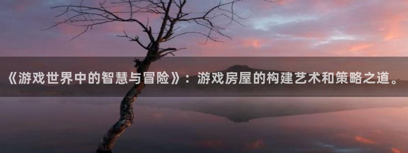 安信12级大众：《游戏世界中的智慧与冒险》：游戏房屋的构建艺术和策略之道。