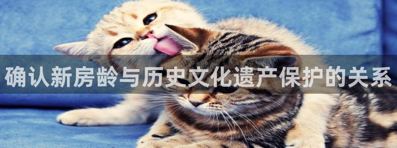 安信安翼 12账号：确认新房龄与历史文化遗产保护的关系