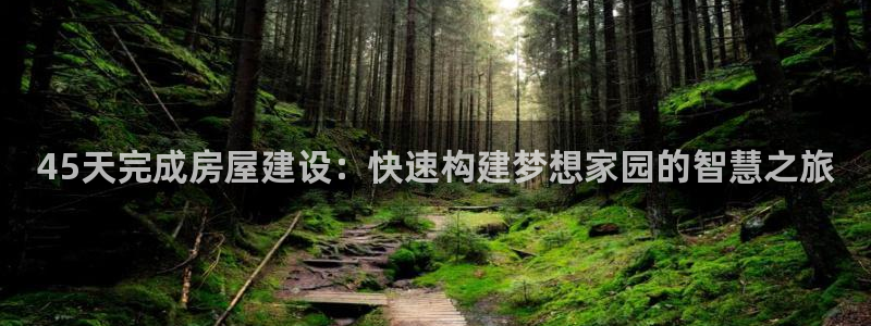 安信可f12：45天完成房屋建设：快速构建梦想家园的智慧之旅