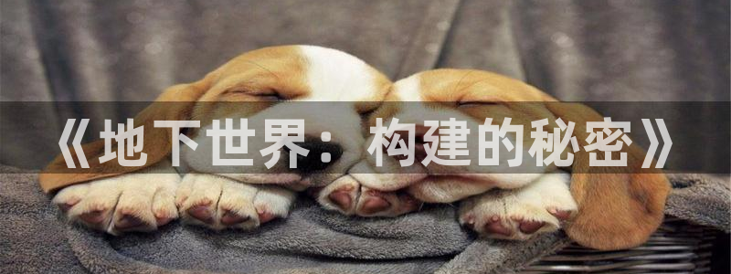 安信esp12k：《地下世界：构建的秘密》