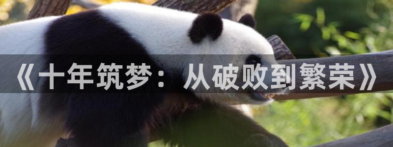 安信12官方网站查询：《十年筑梦：从破败到繁荣》