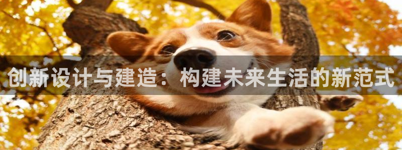 安信12平台开户：创新设计与建造：构建未来生活的新范式