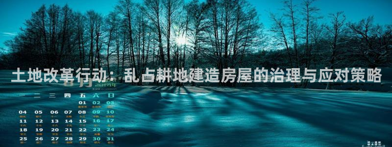 安信可12f：土地改革行动：乱占耕地建造房屋的治理与应对策略