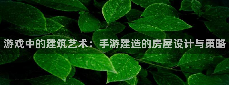 安信卓越12月：游戏中的建筑艺术：手游建造的房屋设计与策略